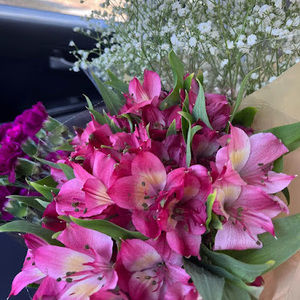 Meet your Posher, Sandra